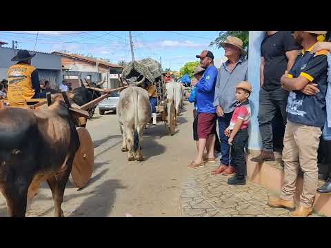 Carreata de boi Sérgio bar Jurema município de Licínio de Almeida Bahia 