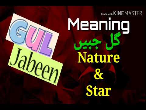 Gul jabeen |Gul jabeen name Meaning |Nature &Persanality |Purnoor