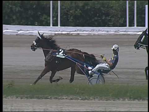 Trotto 27/05/2016 - 1° corsa