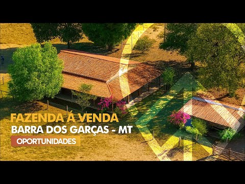 🌾 FAZENDA À VENDA EM BARRA DOS GARÇAS – MT 📍