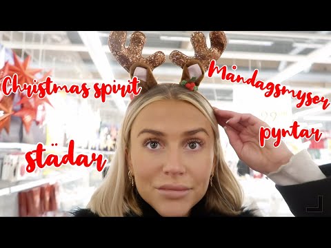 SISTA VLOGGEN PÅ VLOGGMÅNADEN