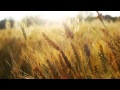 Kim Min Jong (김민종) - Hold Me Now 