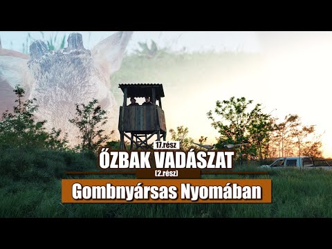 Vadkaland (17.rész) - ŐZBAK VADÁSZAT (2/2)
