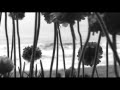 JAY JAY JOHANSON-TIME WILL SHOW ME