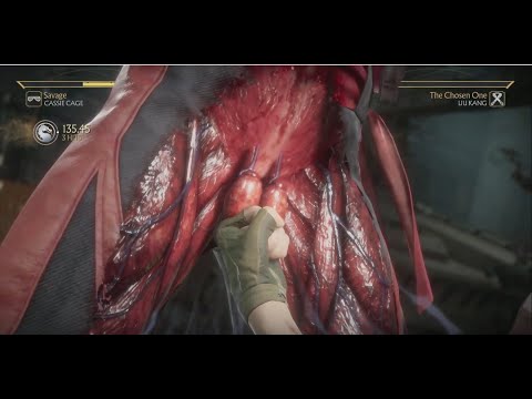 Mortal Kombat 11 Cassie Cage vs Liu Kang