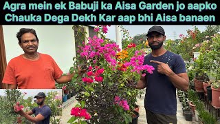 Agra Ka Most Beautiful Garden – Babuji Ne Kar Dikhaya Kamaal \ Best gardening tips￼￼