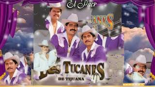 los tucanes de tijuana - cuando más te necesito (serge djbcmx)