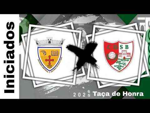 Taça de Honra (iniciados)