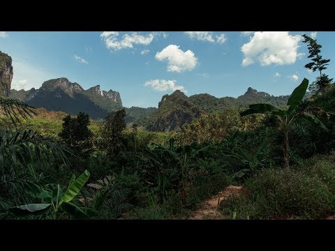 Khao Sok National Park Hike - TOP Jungle Adventures in Thailand