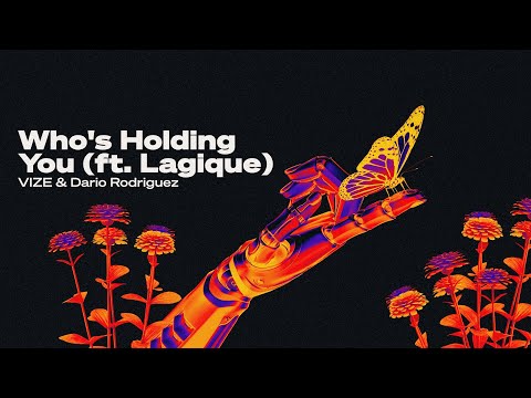 VIZE & Dario Rodriguez - Who's Holding You (ft. Lagique) [Lyric video]