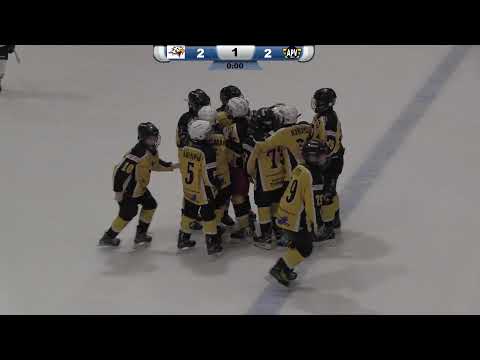 KL-PRINT TURNAUS - U12 - SPORT - APV - PROSSIPELI - 18.12.2021