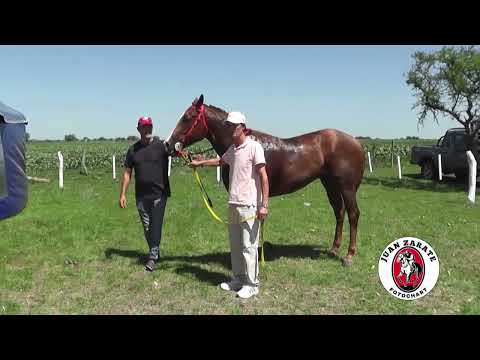 TODAS LAS CARRERAS DE VILLA CLARA