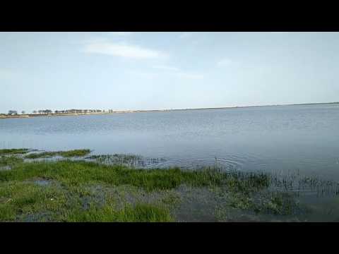 La o baltă privată în Brăila