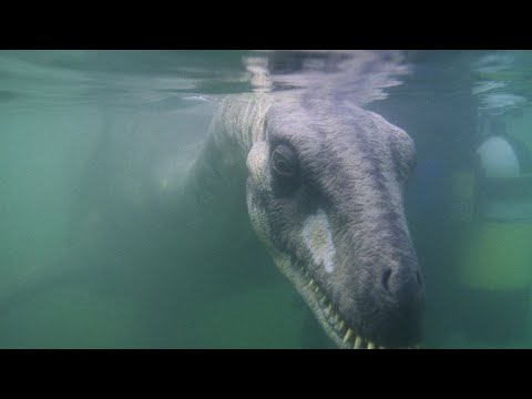 What is the identity of Nessie, the world's most famous monster?