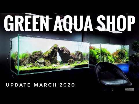 VLOG | Green Aqua Shop | March 2020