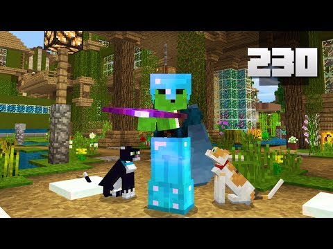 Let's Play Minecraft - Ep.230 : KITTY LORD/I'm Going To Minefaire!