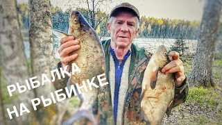 Отдых и рыбалка на рыбинском водохранилище дикарем