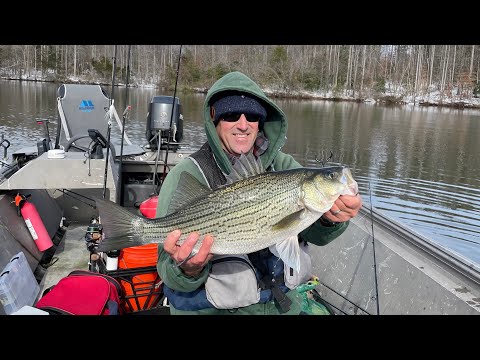 Winter Fishing for Striped Bass on Virginia's Lake Anna