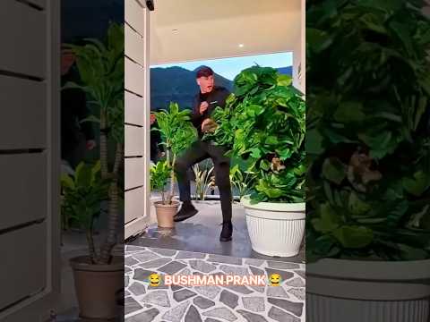 Pianta scherzo #bushmanprank #reaction #lol #divertente #funny #viralvideo