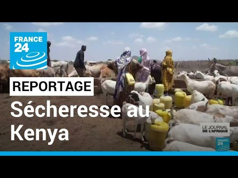 Sécheresse en Afrique de l'Est : au Kenya, le comté d'Isiolo sans pluie depuis deux ans