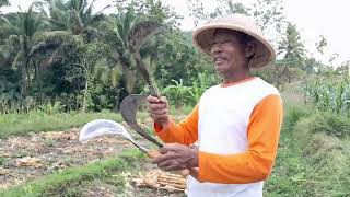 Download lagu Tes Arit Langsung Sama Masternya |Ramane Ngarit @tukangpangon mp3