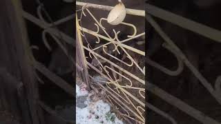 video 1643128567 2