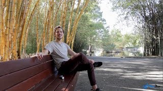 PUFFiT X Portable Vaporizer Review by Matt @VapeFuse