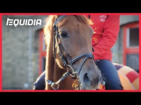 QPAT 2018 | William Haggas présente Sea of Class !