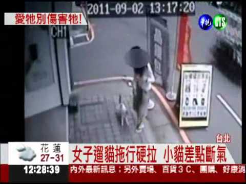又傳虐貓? 女子綁貓拖行百公尺