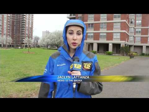 103-YEAR-OLD WOMAN ROBBED IN THE BRONX