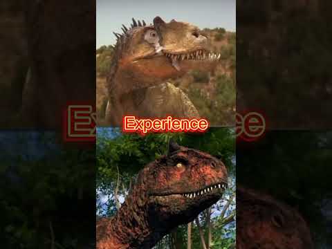 Broken jaw (Dinosaur Revolution) Vs Toro (JW CC)