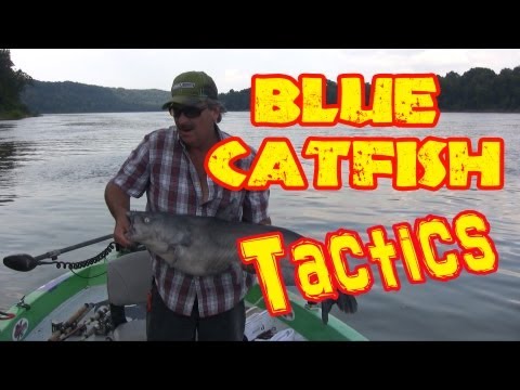 Current Seams - A good place to find BIG catfish in rivers - locating catfish in rivers