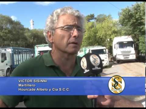 VICTOR SISINNI - Martillero - Hourcade Albelo y Cía. S.C.C. - Rauch - 28/01/2014