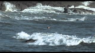 Under the Skin - Beach Scene