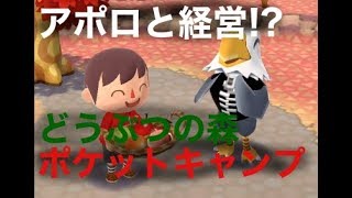 アポロがかわいい【どうぶつの森ポケットキャンプ】