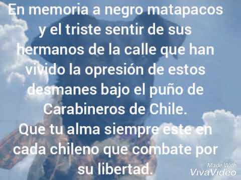 Negro matapacos en memoria
