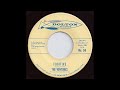 Fugitive - The Ventures