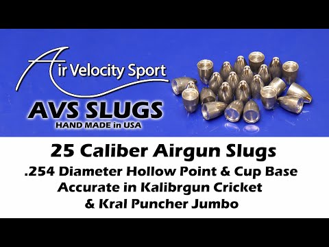 AVS 25 cal slugs (.254 Diameter) accurate in Kalibrgun Cricket & Kral Jumbo