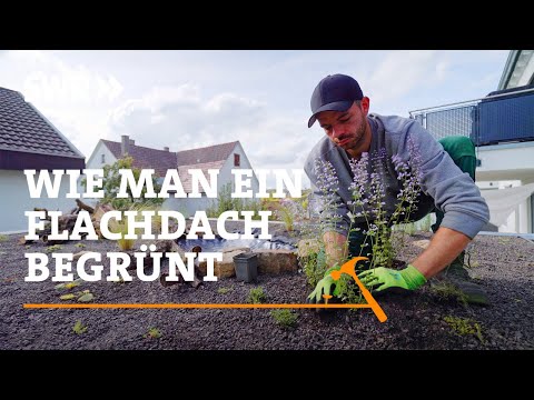 Wie man ein Flachdach begrünt | SWR Handwerkskunst