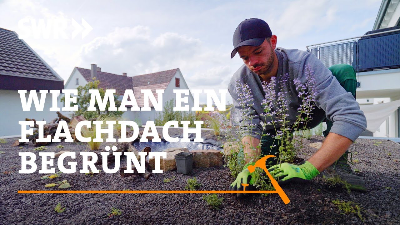 How to green a flat roof | SWR Craftsmanship