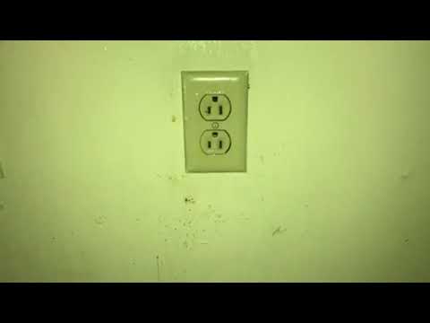 Bed Bugs Love to Hide in Outlets in Oakhurst, NJ