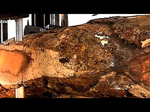sawing old jackfruit || wood cutting machine || sawmill