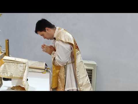 † Domingo Depois da Ascensão, Santa Missa das 19h – 17/05/2026 - Solenidade da Ascensão do Senhor