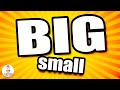 COMPARE SIZES With BIG And Small For KIDS OPPOSITE Words For TODDLERS