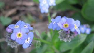 Ghost Beach - Empty Streets