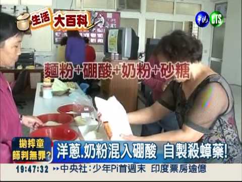 小強的剋星! 自製洋蔥殺蟑藥