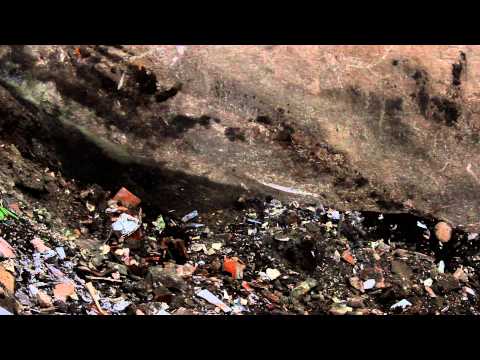 Johnny Dadds: 'The Waste'