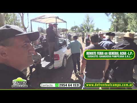 REMATE FERIA de GANADERA PAMPEANA S.R.L.- MARTES 17 / MARZO / 2026 - GENERAL ACHA -L.P.-