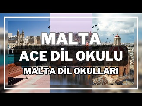 ACE English Malta kampüs turu