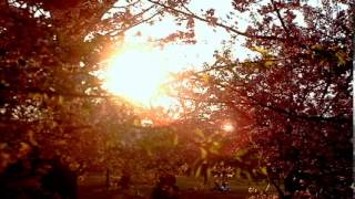 Brian Eno - Becalmed (solo acoustic cover)